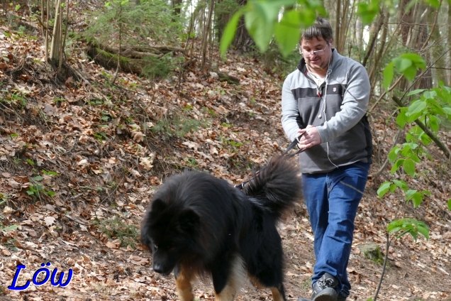 1.4.2024 - Brucker Wolf